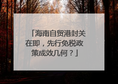 海南自贸港封关在即，先行免税政策成效几何？