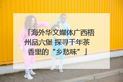 海外华文媒体广西梧州品六堡 探寻千年茶香里的“乡愁味”