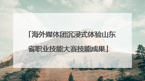 海外媒体团沉浸式体验山东省职业技能大赛技能成果