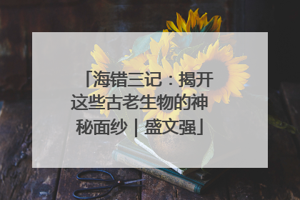 海错三记：揭开这些古老生物的神秘面纱｜盛文强