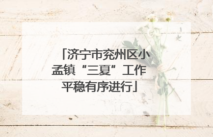 济宁市兖州区小孟镇“三夏”工作平稳有序进行