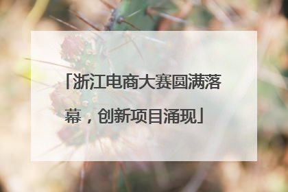 浙江电商大赛圆满落幕，创新项目涌现