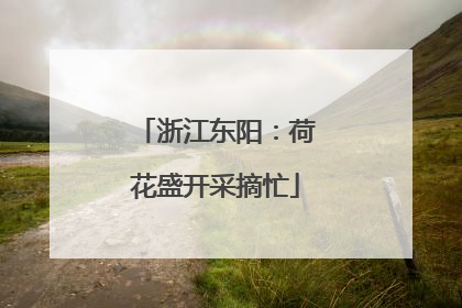 浙江东阳：荷花盛开采摘忙