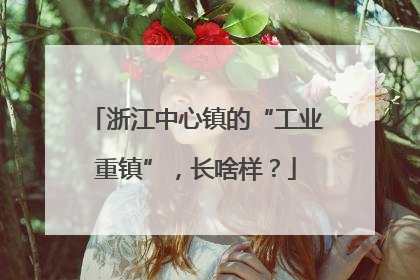 浙江中心镇的“工业重镇”，长啥样？