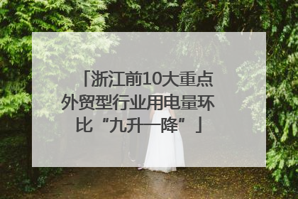 浙江前10大重点外贸型行业用电量环比“九升一降”