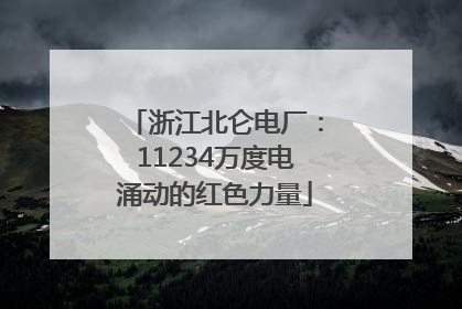 浙江北仑电厂：11234万度电涌动的红色力量