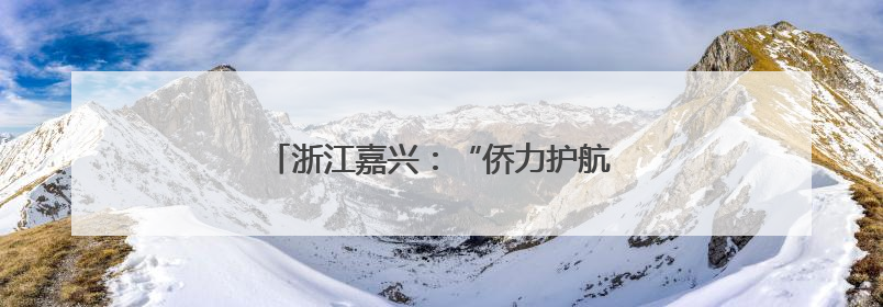 浙江嘉兴：“侨力护航”助企高质量“出海”