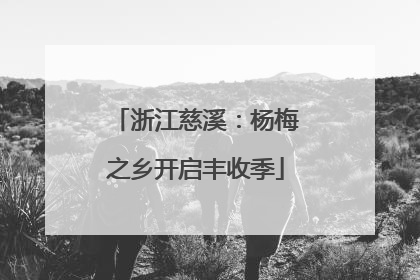 浙江慈溪：杨梅之乡开启丰收季