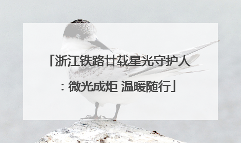 浙江铁路廿载星光守护人：微光成炬 温暖随行