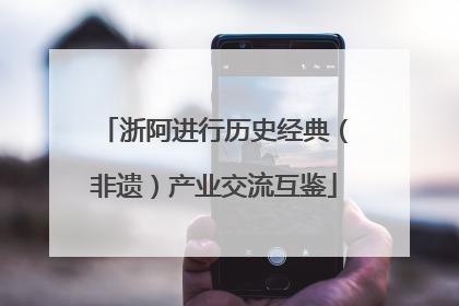 浙阿进行历史经典（非遗）产业交流互鉴