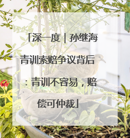 深一度｜孙继海青训索赔争议背后：青训不容易，赔偿可仲裁