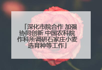 深化市院合作 加强协同创新 中国农科院作科所调研石家庄小麦选育种等工作