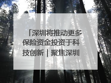 深圳将推动更多保险资金投资于科技创新｜聚焦深圳系列发布会