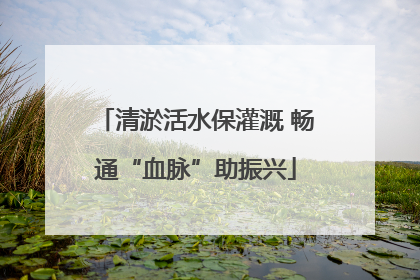 清淤活水保灌溉 畅通“血脉”助振兴