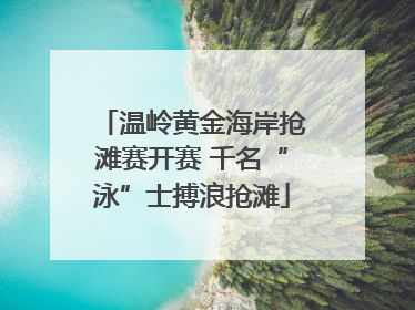 温岭黄金海岸抢滩赛开赛 千名“泳”士搏浪抢滩