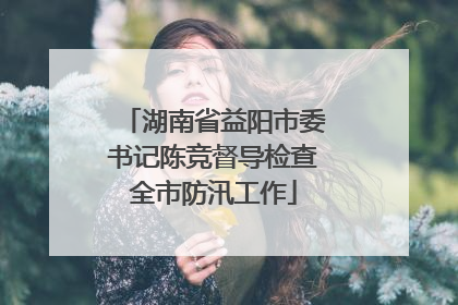 湖南省益阳市委书记陈竞督导检查全市防汛工作