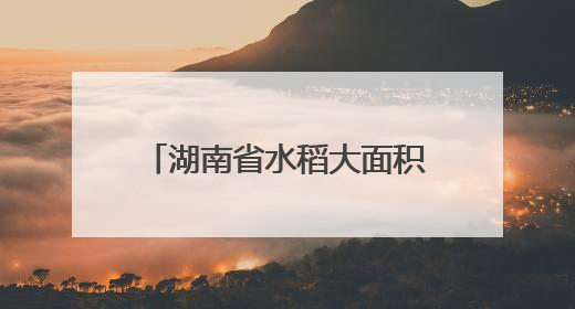 湖南省水稻大面积单产提升现场推进会在屈原管理区举行