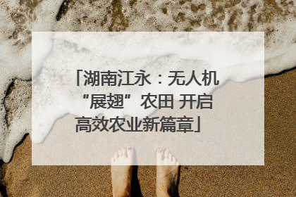 湖南江永：无人机“展翅”农田 开启高效农业新篇章