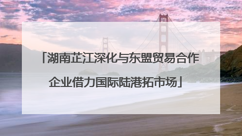 湖南芷江深化与东盟贸易合作 企业借力国际陆港拓市场