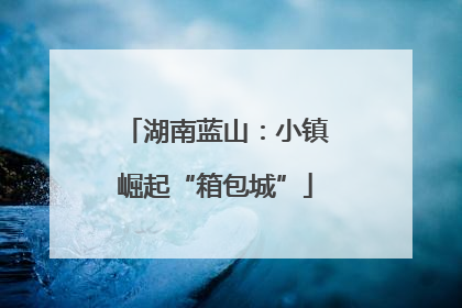 湖南蓝山：小镇崛起“箱包城”