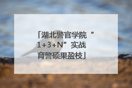 湖北警官学院“1+3+N”实战育警硕果盈枝