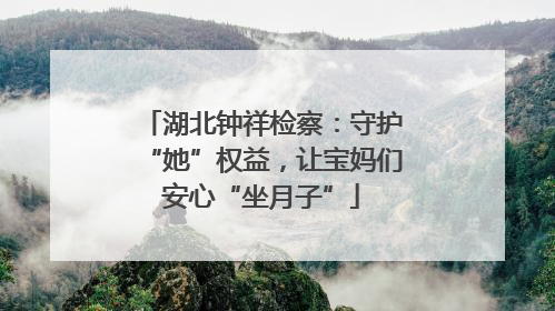 湖北钟祥检察：守护“她”权益，让宝妈们安心“坐月子”