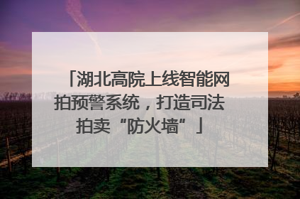 湖北高院上线智能网拍预警系统，打造司法拍卖“防火墙”