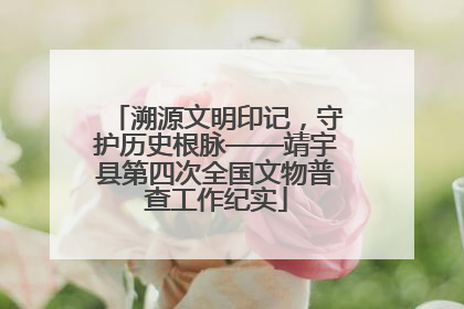 溯源文明印记，守护历史根脉——靖宇县第四次全国文物普查工作纪实
