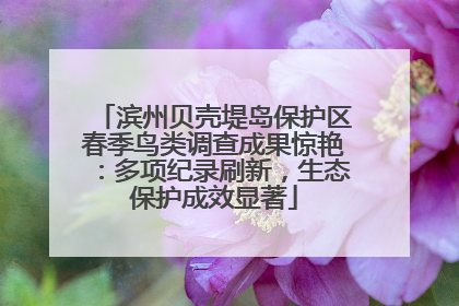 滨州贝壳堤岛保护区春季鸟类调查成果惊艳：多项纪录刷新，生态保护成效显著