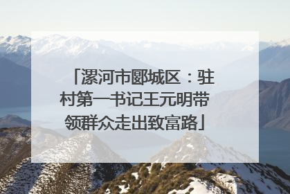 漯河市郾城区：驻村第一书记王元明带领群众走出致富路