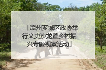 漳州芗城区政协举行文史沙龙暨乡村振兴专题视察活动