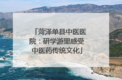 菏泽单县中医医院：研学游里感受中医药传统文化