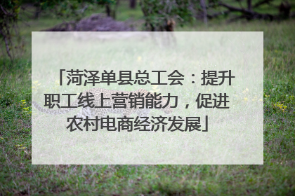 菏泽单县总工会：提升职工线上营销能力，促进农村电商经济发展
