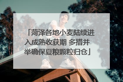 菏泽各地小麦陆续进入成熟收获期 多措并举确保夏粮颗粒归仓
