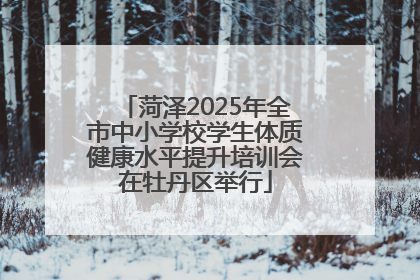 菏泽2025年全市中小学校学生体质健康水平提升培训会在牡丹区举行