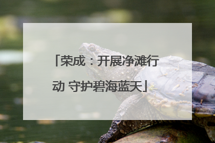 荣成：开展净滩行动 守护碧海蓝天