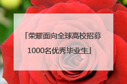 荣耀面向全球高校招募1000名优秀毕业生