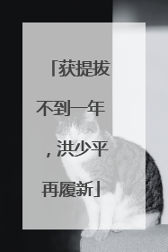 获提拔不到一年，洪少平再履新