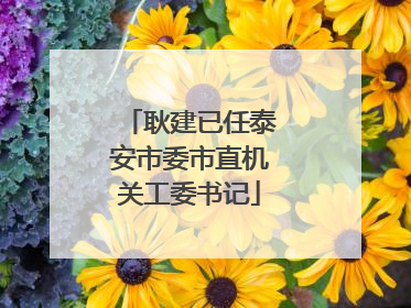 耿建已任泰安市委市直机关工委书记