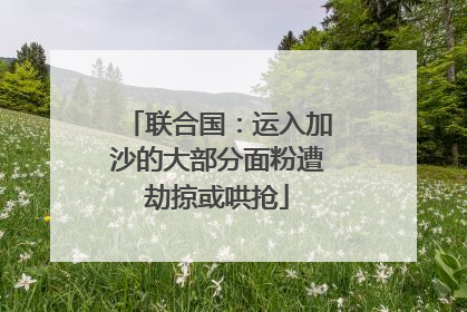 联合国：运入加沙的大部分面粉遭劫掠或哄抢