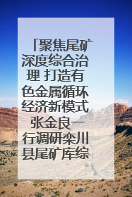 聚焦尾矿深度综合治理 打造有色金属循环经济新模式 张金良一行调研栾川县尾矿库综合治理工作