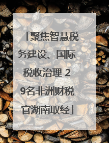 聚焦智慧税务建设、国际税收治理 29名非洲财税官湖南取经