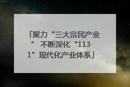 聚力“三大富民产业” 不断深化“1131”现代化产业体系