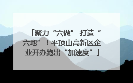 聚力“六做” 打造“六地”！平顶山高新区企业开办跑出“加速度”