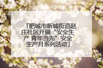 肥城市新城街道赵庄社区开展“安全生产 青年当先”安全生产月系列活动