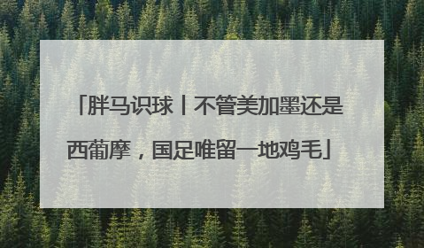 胖马识球丨不管美加墨还是西葡摩，国足唯留一地鸡毛