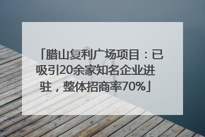 腊山复利广场项目：已吸引20余家知名企业进驻，整体招商率70%