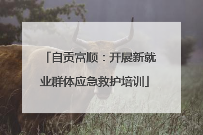 自贡富顺：开展新就业群体应急救护培训