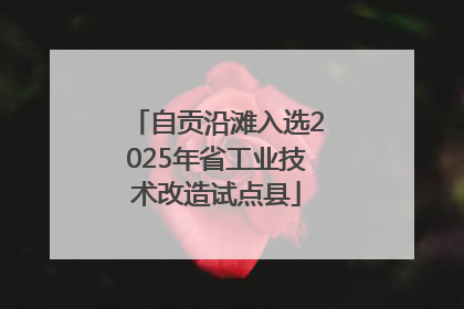 自贡沿滩入选2025年省工业技术改造试点县