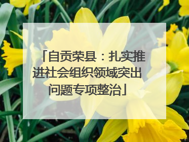 自贡荣县：扎实推进社会组织领域突出问题专项整治